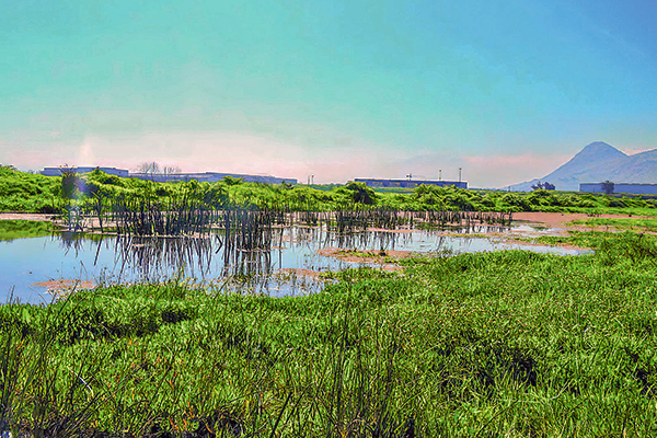 Segundo Tribunal Ambiental da marcha atrás a declaración de humedal en Quilicura tras reclamos efectuados por empresas