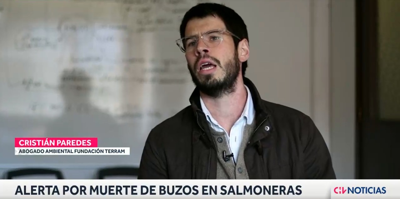 Entre 2004 y 2017 murieron 32 buzos: La grave situación que esconde la industria salmonera en Chile
