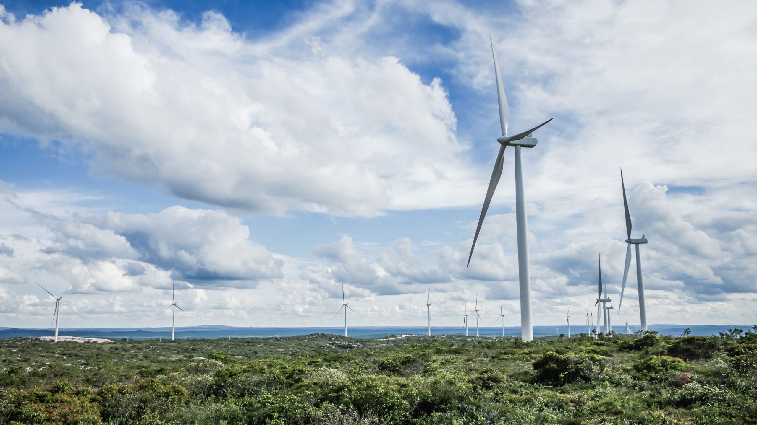 Empresas de hidrógeno verde retiran estudio de impacto ambiental de Faro del Sur