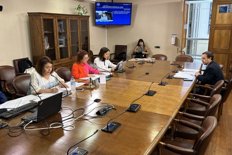 Quintero y Puchuncaví: Comisión Investigadora de la Cámara por alerta de emergencia ambiental concluye su trabajo