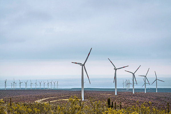 Coordinador Eléctrico rechaza que empresa renovable en insolvencia arriende activos