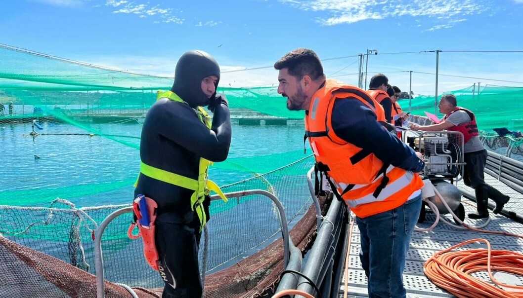 Fiscalía cierra investigación por muerte de buzo en centro de Nova Austral