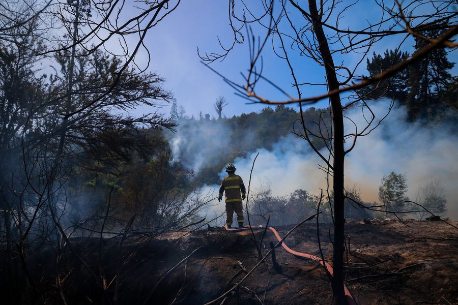 Evacuación de personas y presunta intencionalidad: declaran seis alertas rojas por incendios forestales que se concentran en las regiones de Valparaíso, Metropolitana y el Maule