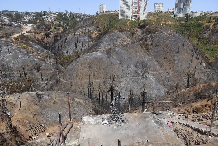 Experto en incendios forestales, Miguel Castillo: “La cantidad se ha mantenido, pero la gravedad ha ido en aumento”