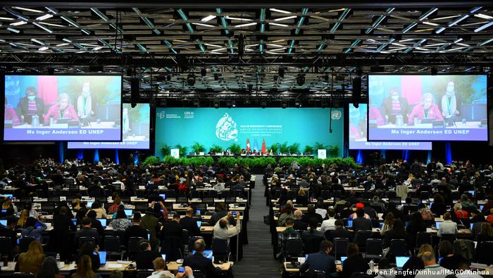 Alcanzan acuerdo histórico sobre biodiversidad en COP15 de Montreal