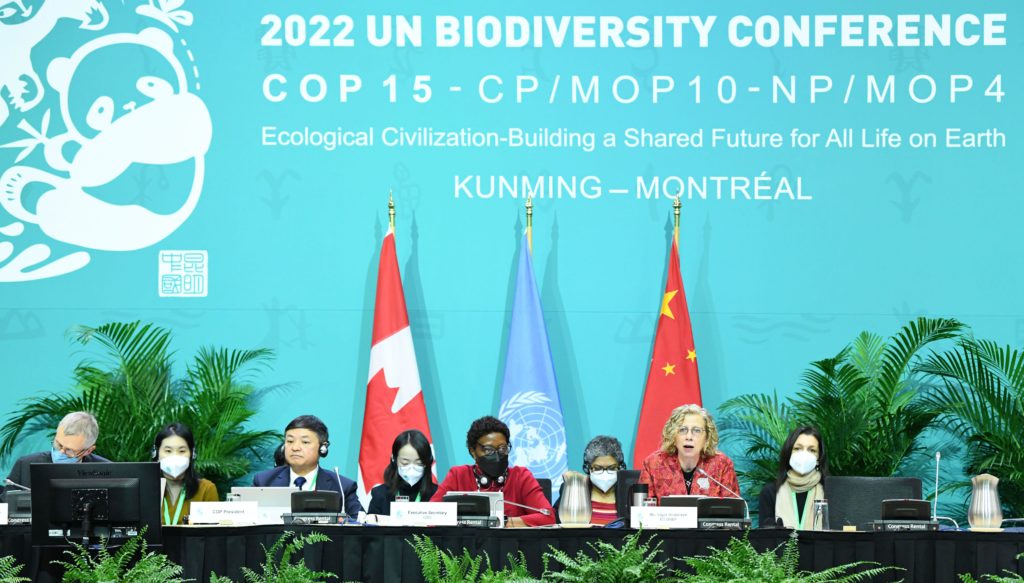 COP15: ¿Le importa la naturaleza al sector privado?