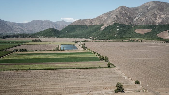 Protección del 30% del planeta: la ambiciosa meta de la Cumbre sobre la Diversidad Biológica