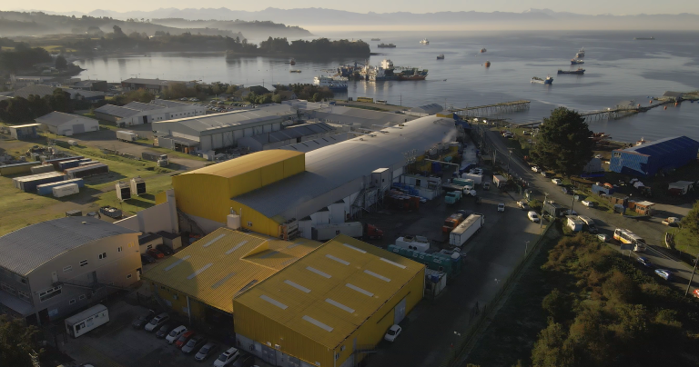 Planta de procesos de compañía salmonera debió ser evacuada por emanación de gases