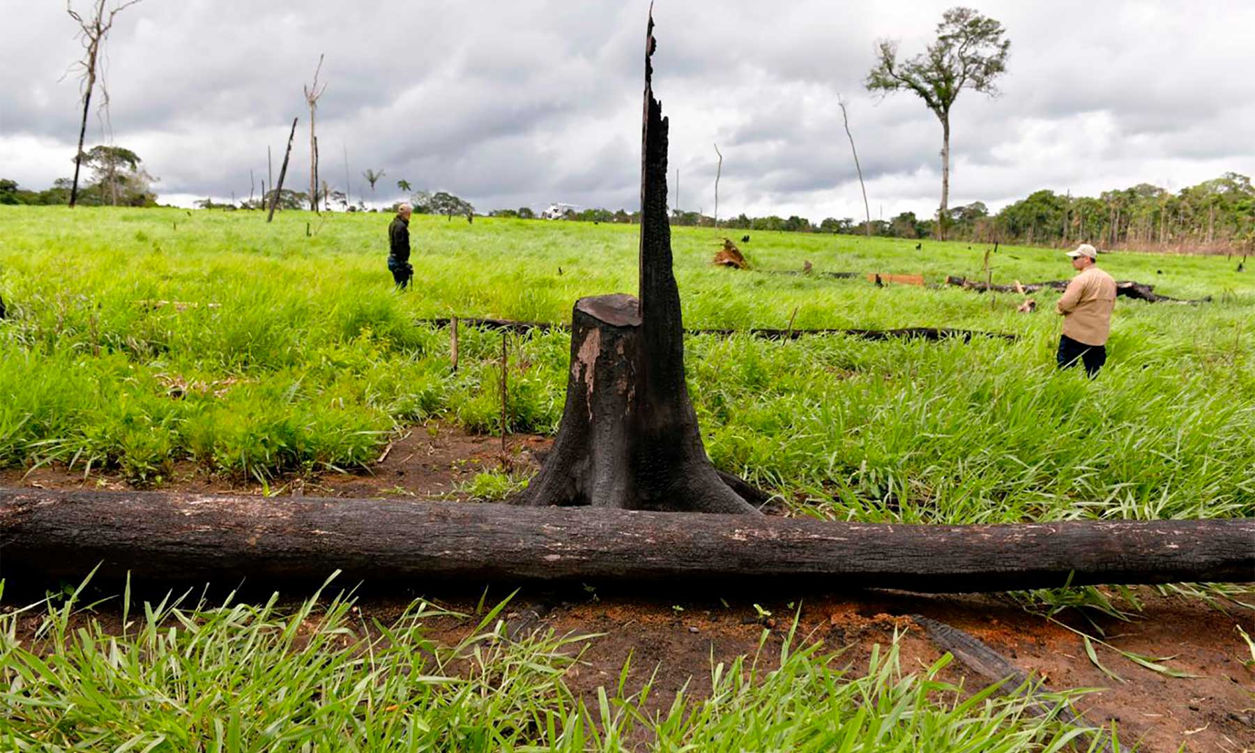 Huellas irreparables en la Amazonía: delitos ambientales y violencia contra defensores ambientales