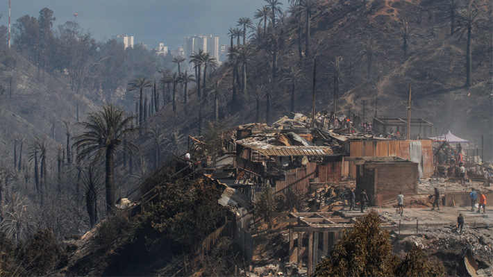 Los proyectos de ley que buscan prohibir el cambio de uso de suelo luego de incendios forestales