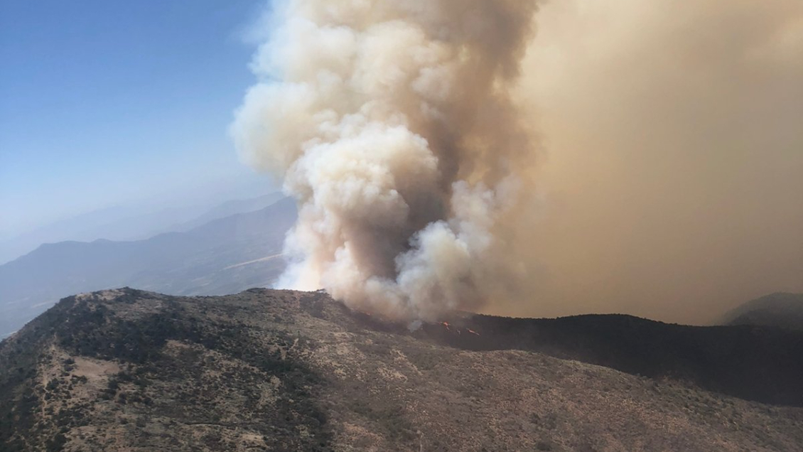Incendio forestal consume más de 200 hectáreas en Isla de Maipo: Viento dificulta las labores
