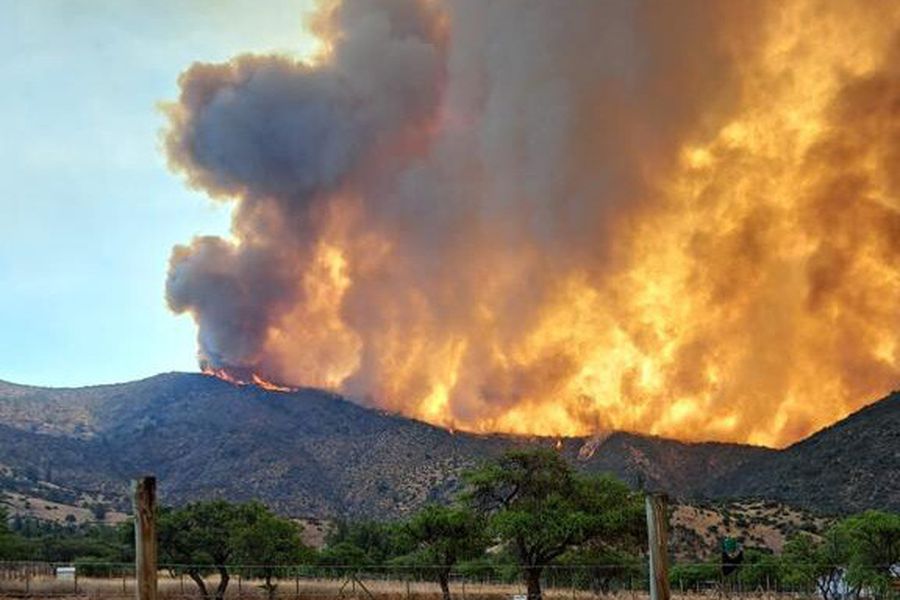 Balance de Onemi por incendios: 69 siniestros activos, 38 extinguidos, cuatro bomberos lesionados y ocho alertas rojas en el país