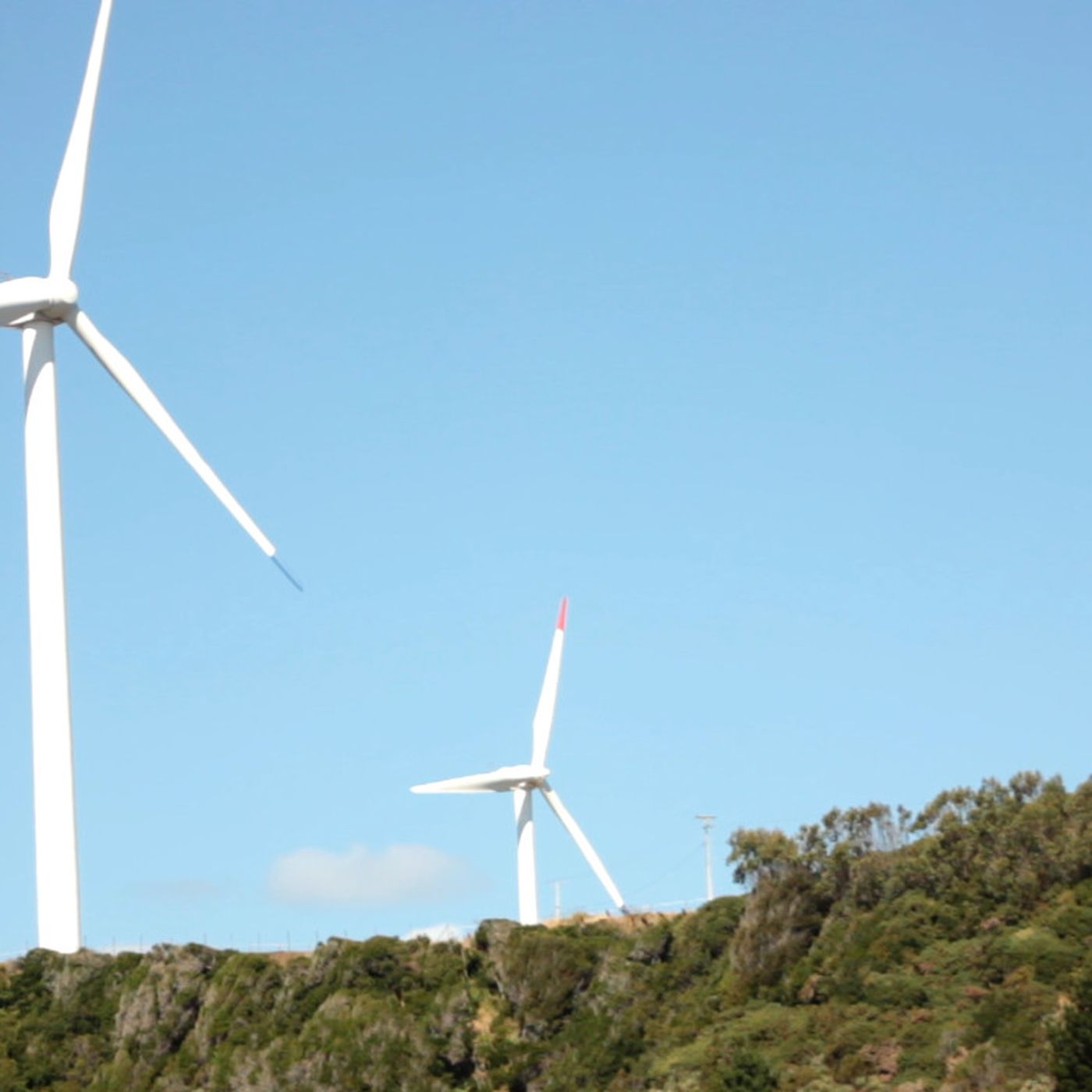 Corte de Concepción ordena nueva consulta indígena por proyecto Parque Eólico Viento Sur en las comunas de Arauco y Curanilahue.