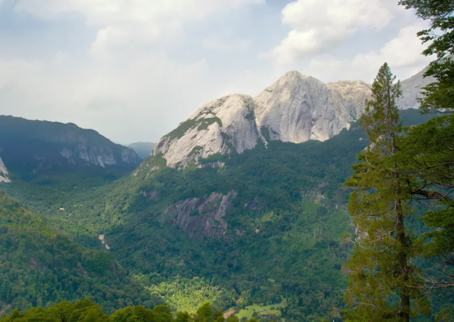 Declaran Santuario de la Naturaleza más de 11 mil hectáreas en el Valle Cochamó