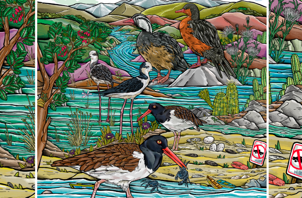 Festival de aves reunirá en el río Maipo a comunidad amante de los pájaros