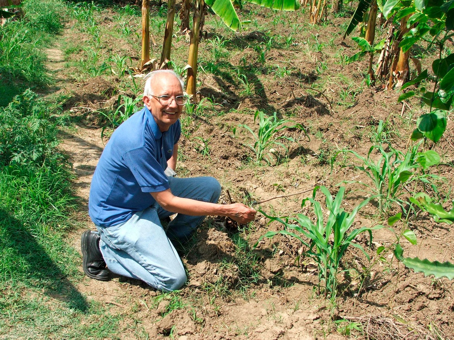 Rattan Lal, Premio Nobel de la Paz: “Restaurar el suelo degradado es la mejor forma de mitigar el cambio climático”