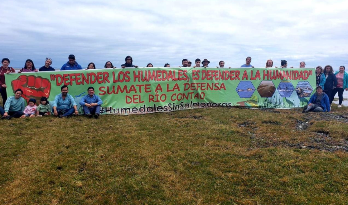 Advierten posibles daños ecológicos en humedal de río Contao por acción de salmonera