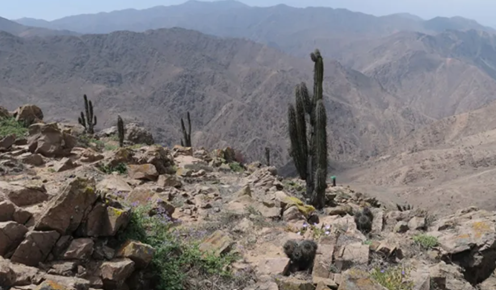 Minera Comahue: Aprueban proyecto minero a pocos kilómetros de Reserva Nacional de La Chimba