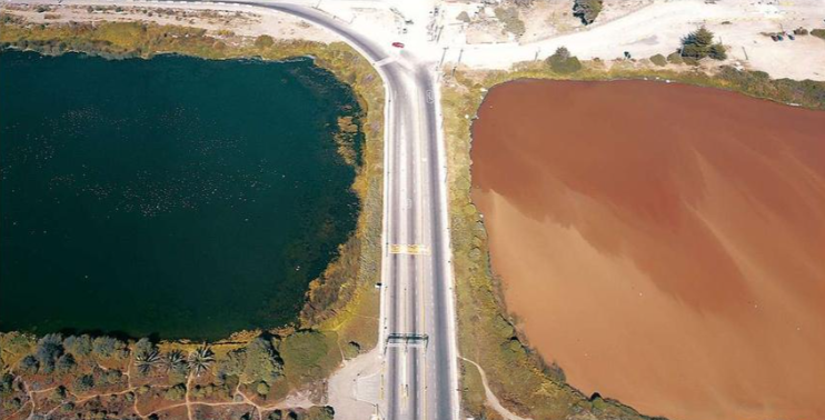 Investigan causas de mal olor y cambio de color de la laguna sur de los Ojos de Mar