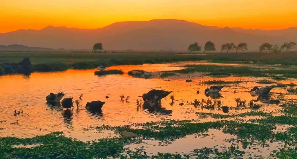 Aprueban en general Ley de Protección de Humedales Rurales en Comisión de Medioambiente