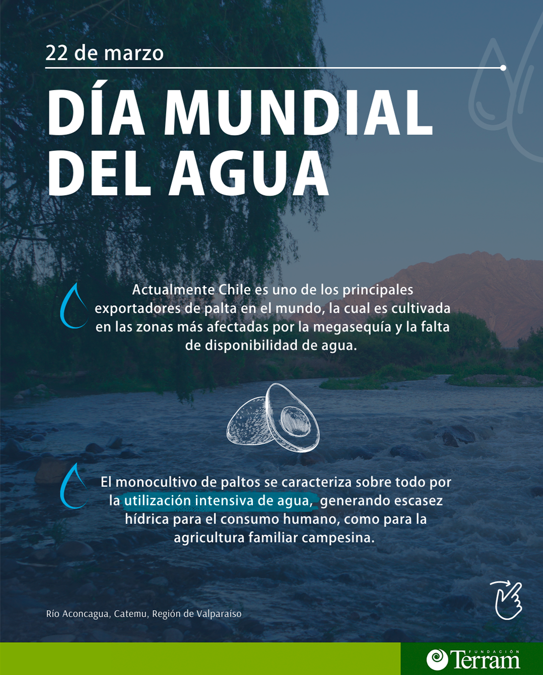 22 de marzo: Día Mundial del Agua