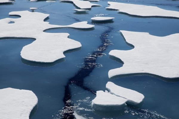 Partió en Suiza reunión clave del Grupo de expertos de cambio climático de la ONU para delinear la política de acción climática hasta 2030