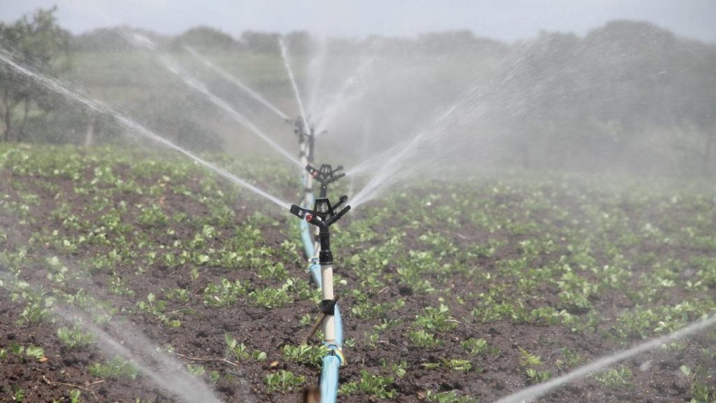 Ley de Riego: Avanza proyecto que podría prorrogar y mejorar beneficios para el agro