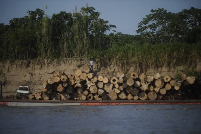 Estudio comprueba que deforestar un lugar hace que llueva menos en él