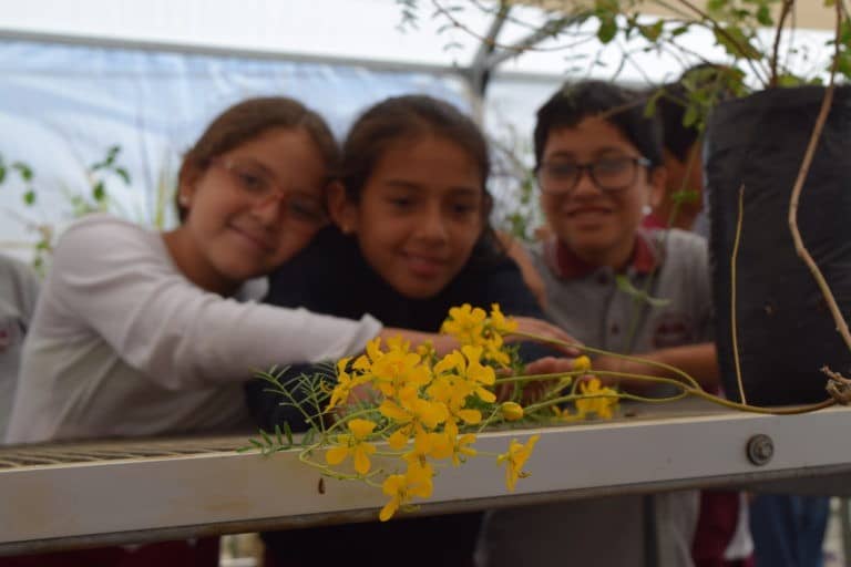 Chile y Uruguay lanzan la Guía de Educación Ambiental por crisis climática