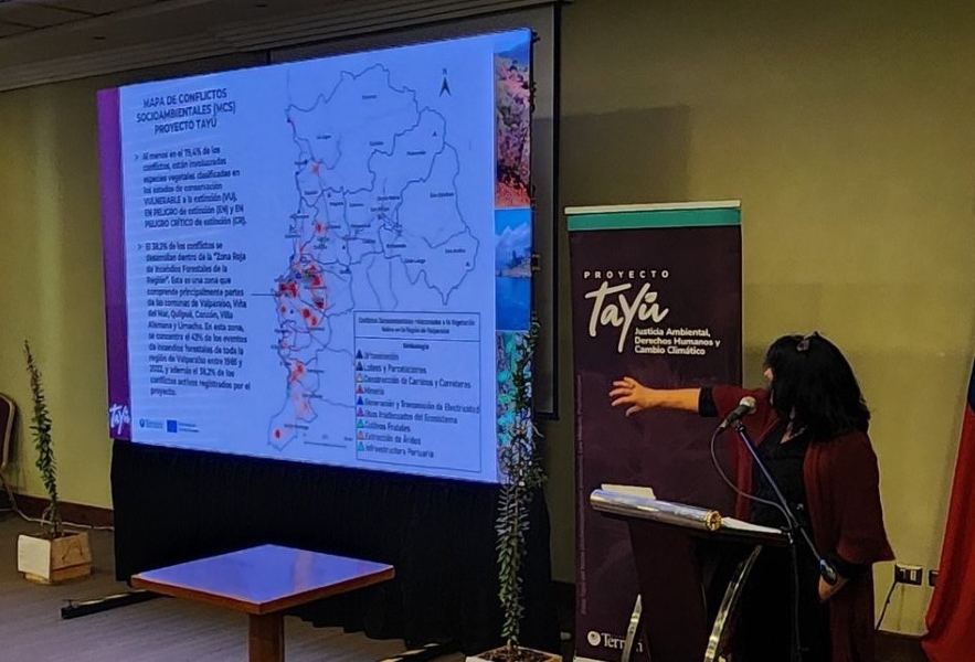 Región de Valparaíso: 50% de los conflictos ambientales corresponde a urbanizaciones y loteos que afectan a la vegetación nativa