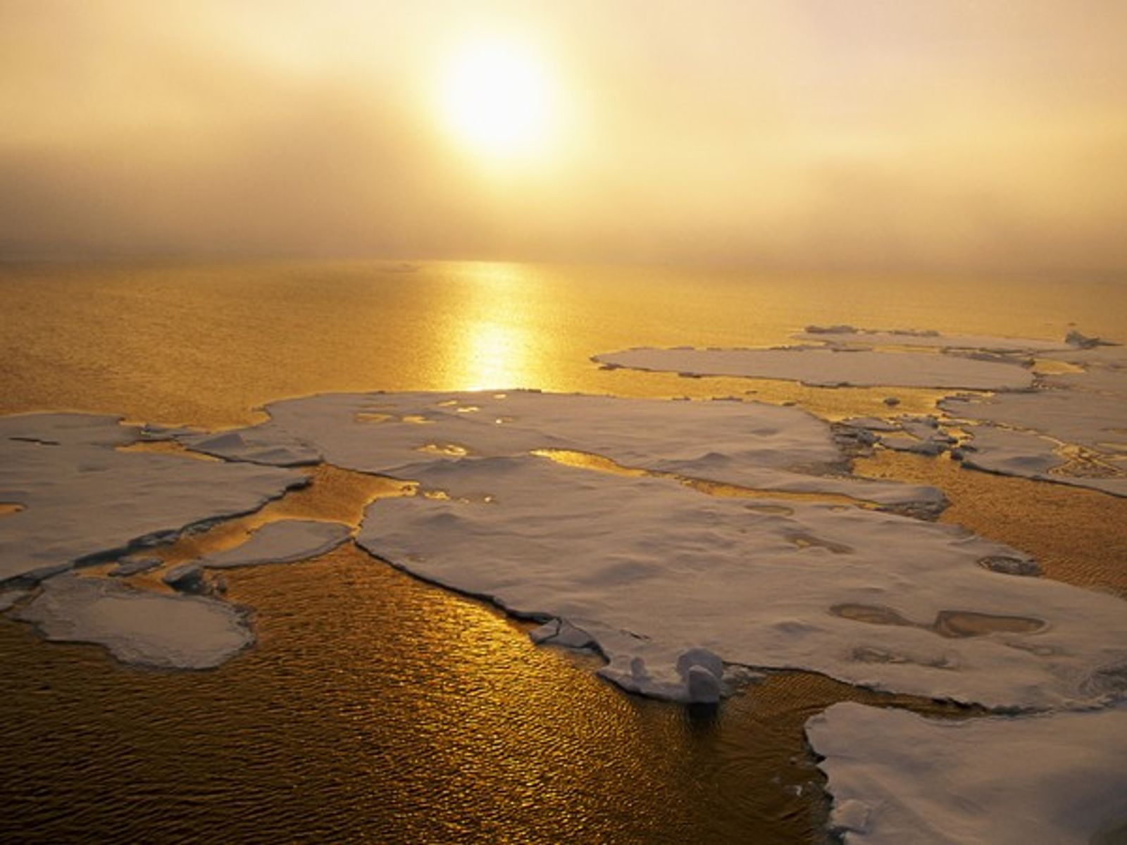 Científicos alertan que el calentamiento global probablemente superará 1,5 grados dentro de los próximos cinco años