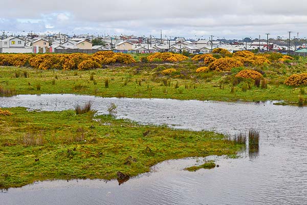 Tercer Tribunal Ambiental falla a favor de Inmobiliaria Pocuro y anula resguardo a humedal urbano