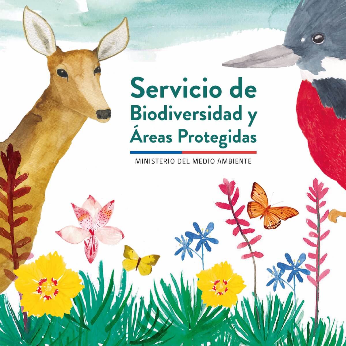 Ministro Grau señaló que Servicio de Biodiversidad no afecta actuales concesiones