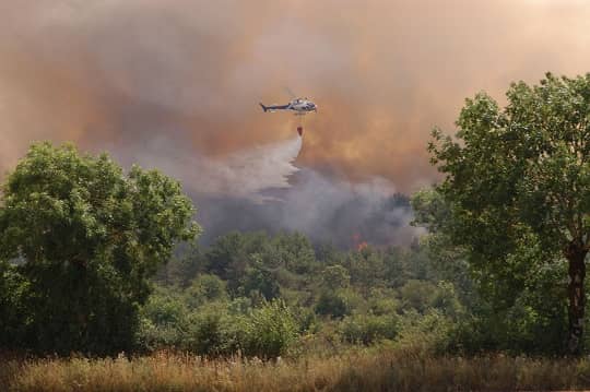 Incendios: Senado retoma trámite de ley que crea el Servicio Nacional Forestal