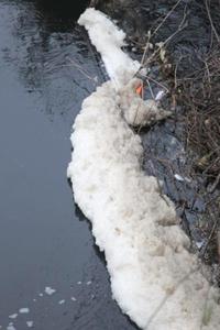 Ambientalistas denuncian ante la SMA una nueva descarga contaminante en el río Damas