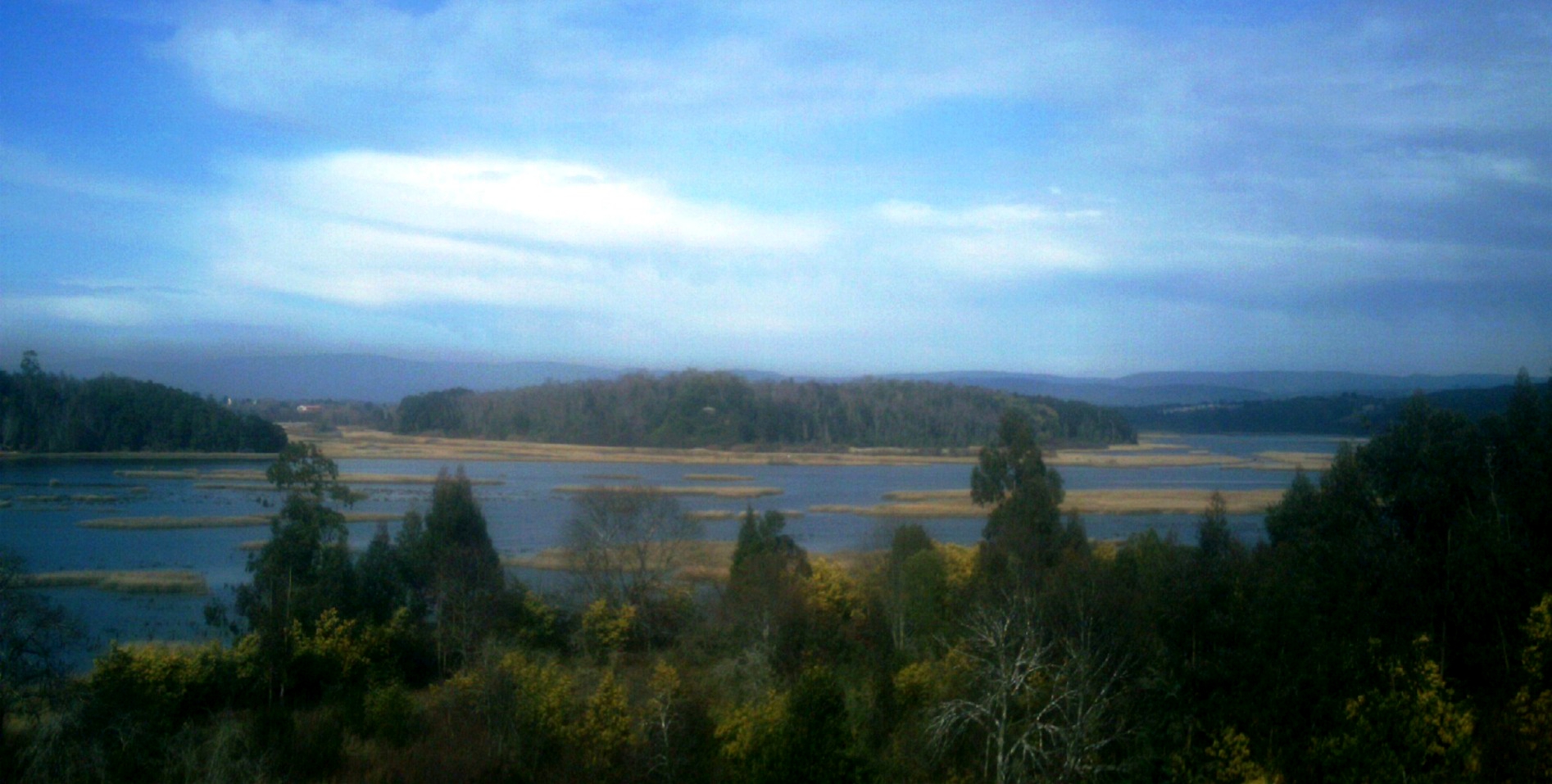 Contaminación fluvial en Valdivia: una historia de postergaciones pactadas