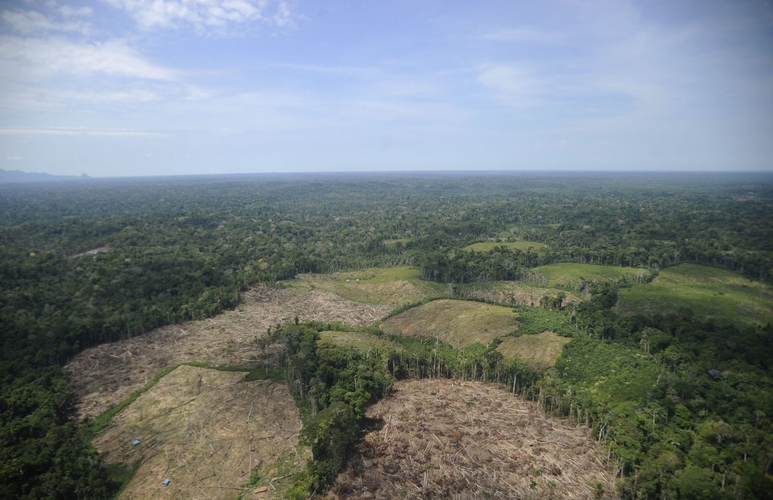 El planeta perdió una superficie de bosques tropicales del tamaño de Suiza en 2022