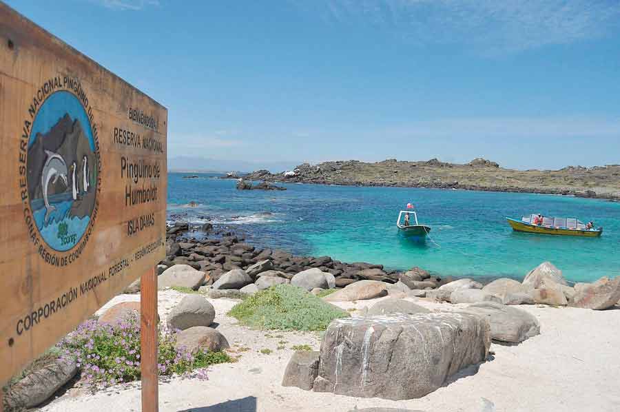 Consejo de Ministros posterga votación para la creación de Área Marina Costera Protegida en Archipiélago de Humboldt