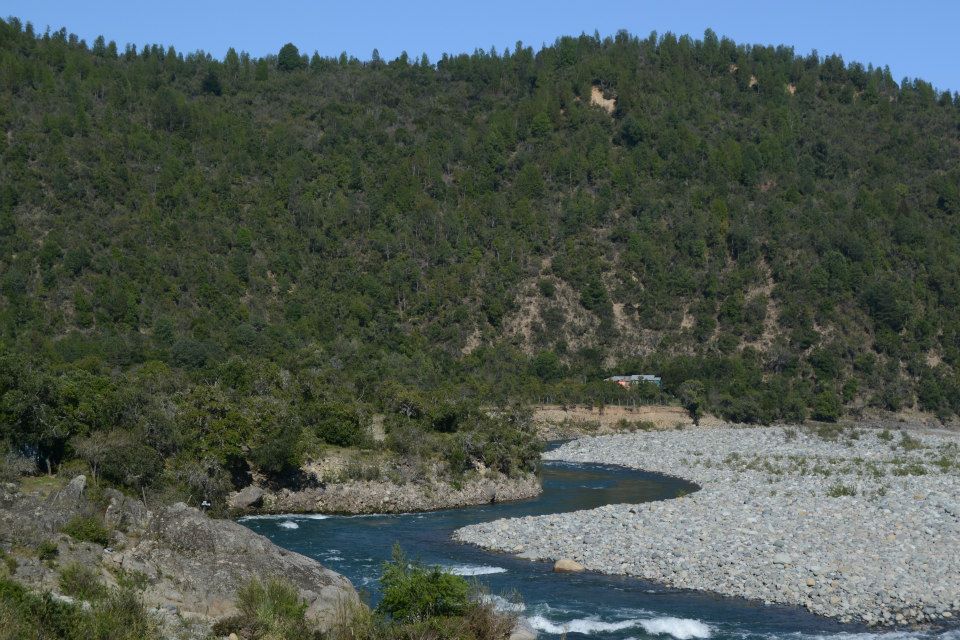 Mañana vence el plazo para apoyar las iniciativas de norma ambientales que postulan al Consejo Constitucional