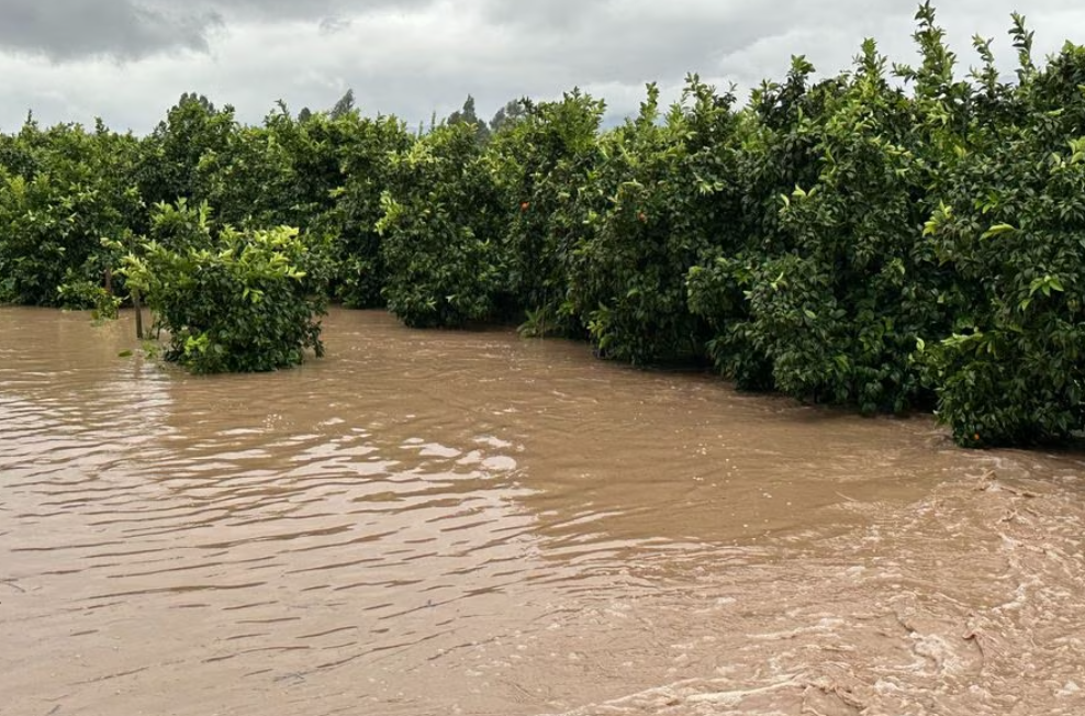 Presidente Boric decreta estado de emergencia agrícola en 117 comunas por sistema frontal