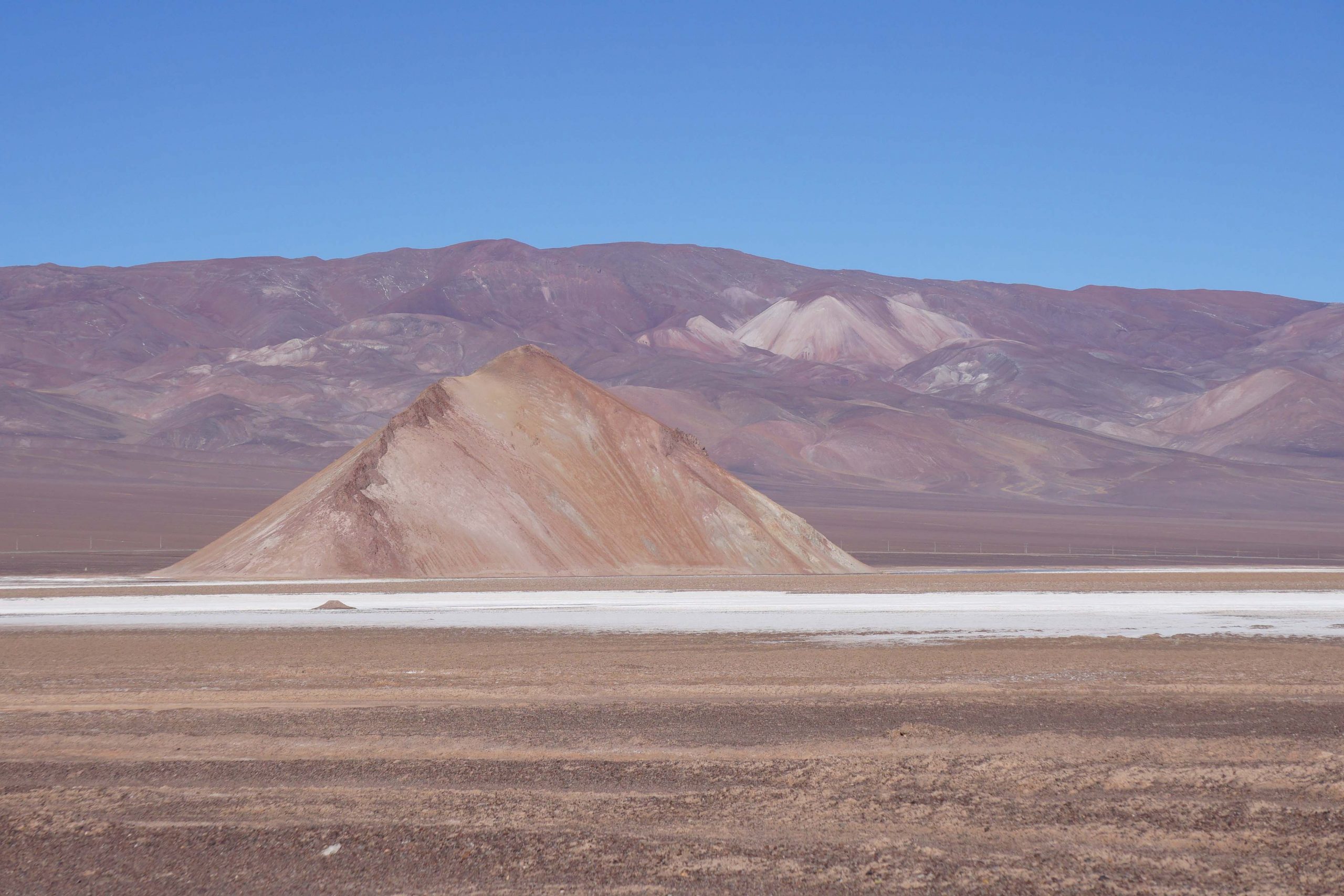 El retorno de los flamencos y del guanaco blanco al Salar de Maricunga