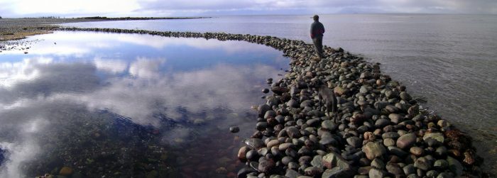 Reporte de científico chileno en Nature: infravaloración de naturaleza es clave en crisis ambiental