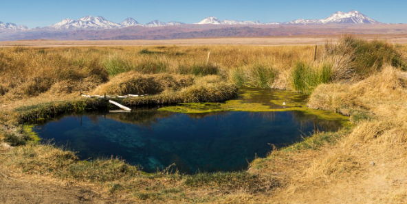 Primer Tribunal Ambiental ya tiene fechas para inspeccionar acuíferos del Salar de Atacama