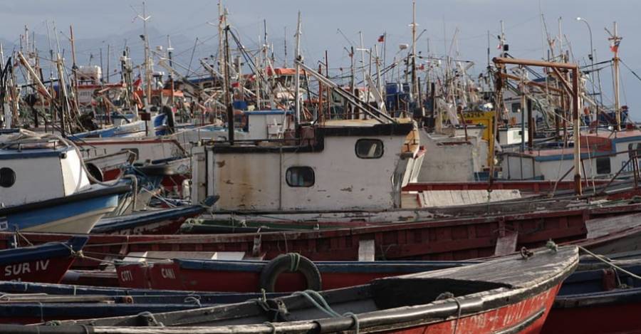 Sostenibilidad, seguridad alimentaria y principios científicos: los 50 contenidos presentados en la Comisión Nacional de Pesca adelantan lo que será la nueva ley