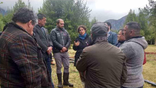 Ministra del Medio Ambiente en Puerto Aysén:”La gran pregunta es si es posible hacer una poda sustentable del pompón”