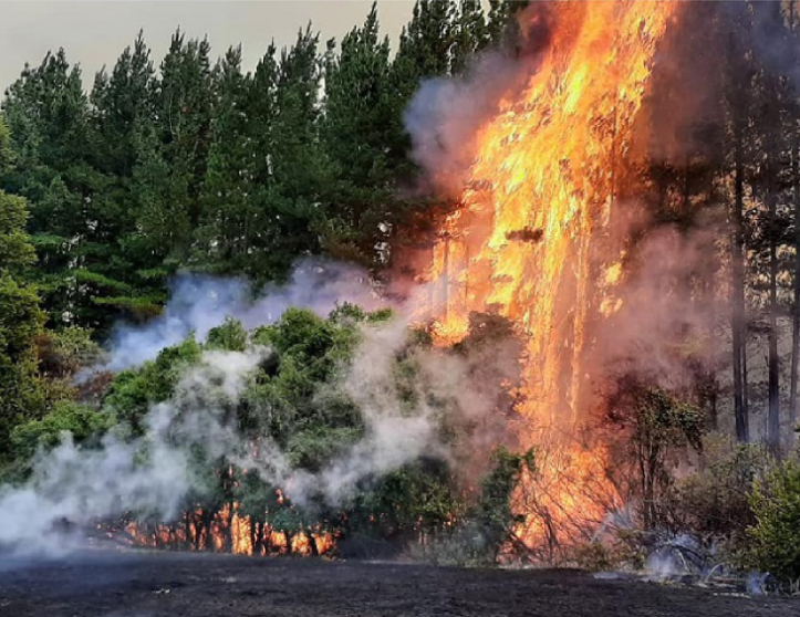 Allanan empresas eléctricas en cuatro regiones por eventual responsabilidad en incendios forestales
