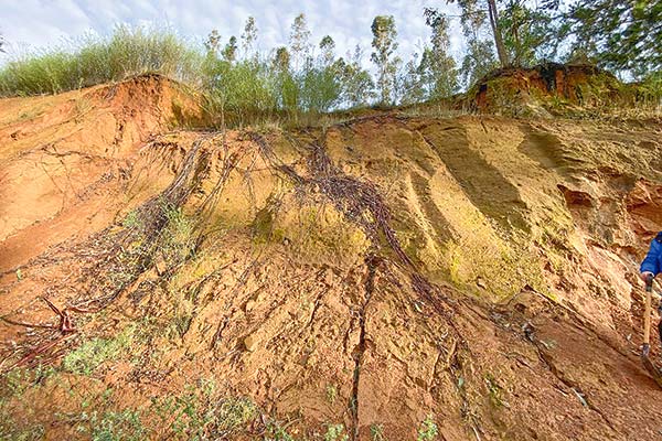 Minera Aclara reformula proyecto de tierras raras en Penco: hará dos EIA y no operará en áreas con bosque nativo