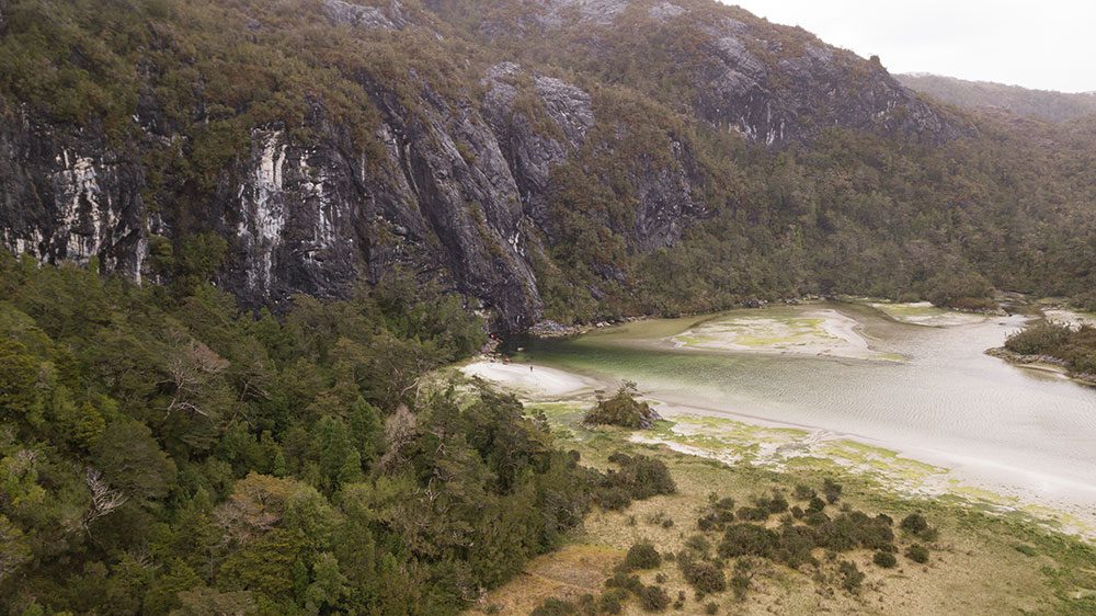 Volumen especial aborda los impactos de las floraciones algales nocivas en la Patagonia