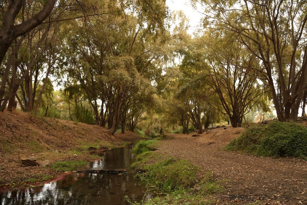 Segundo Tribunal Ambiental confirmó declaratoria del humedal urbano Río Maipo en la comuna de Isla de Maipo