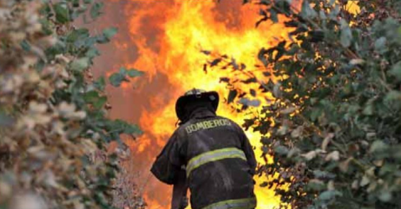 Más de 850 hectáreas al año son afectadas por incendios forestales